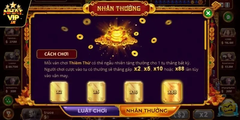 Tránh đặt cầu ngẫu nhiên mà phải có tính toán